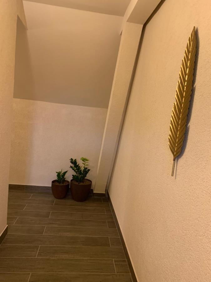 Braun Residence Sacele Luaran gambar